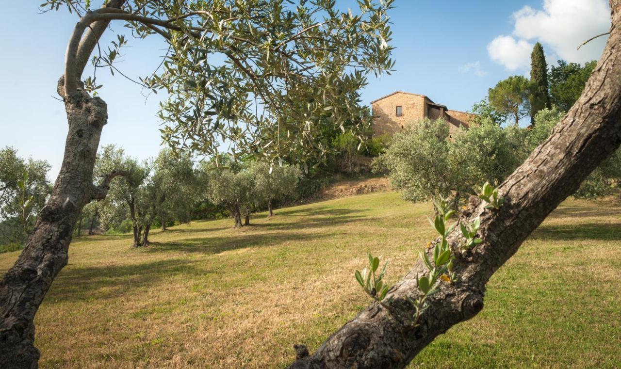Holiday Home Arpicella Pienza Exterior photo