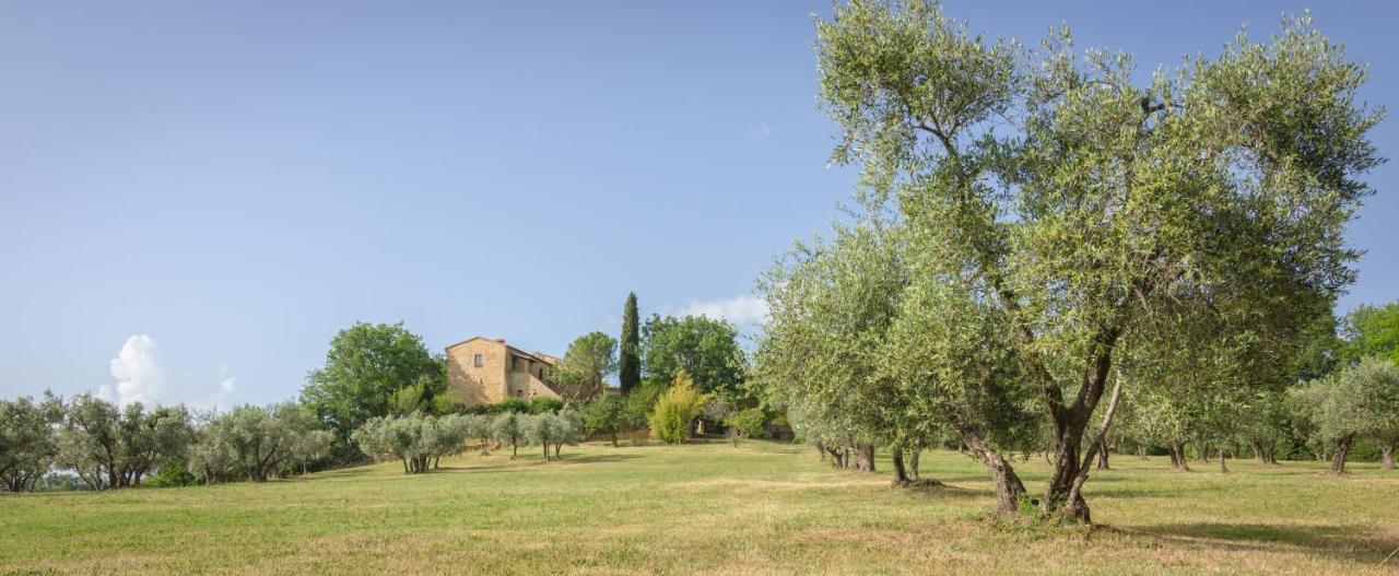 Holiday Home Arpicella Pienza Exterior photo