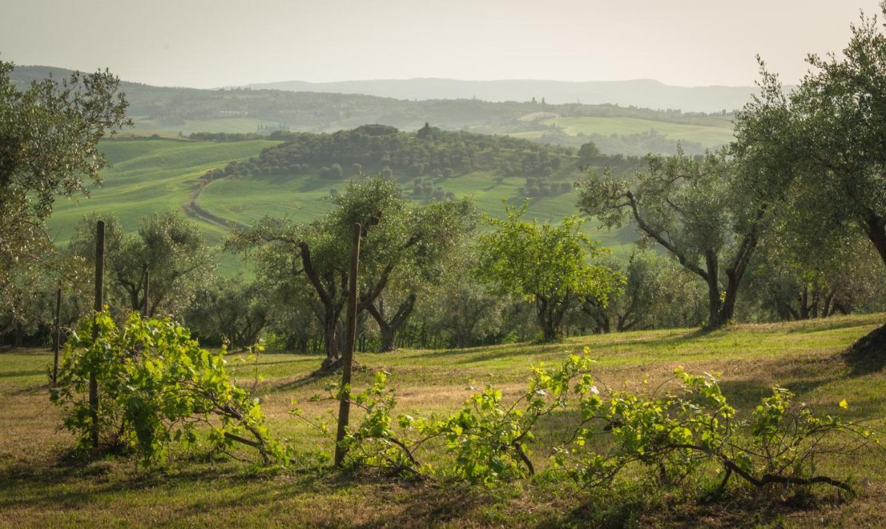 Holiday Home Arpicella Pienza Exterior photo