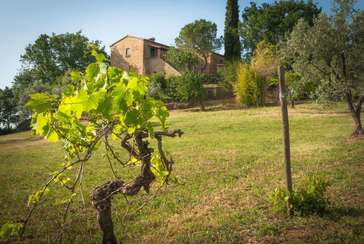 Holiday Home Arpicella Pienza Exterior photo